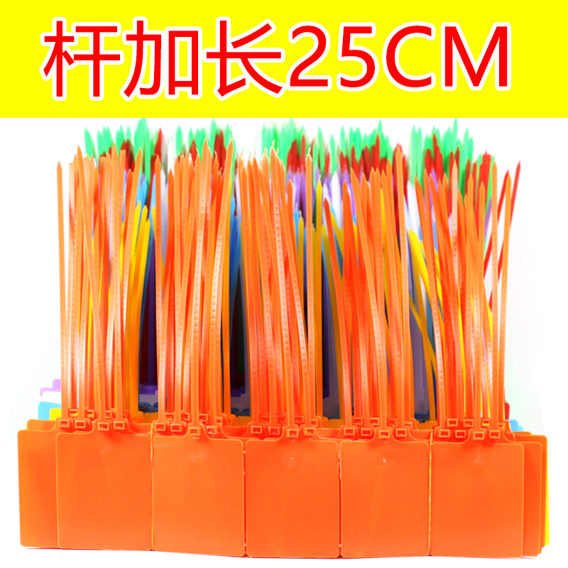 Extended plastic seal large sign cable tie logistics tag hanging tag identification card fruit tree cable label