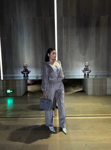 Ретро бархатный трехмерный лебедь, комплект, кардиган с молнией, балахон, штаны, 3 цветов, европейский стиль, свободный прямой крой