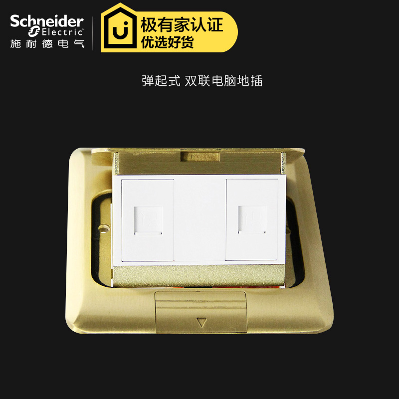 Schneider computer ground socket copper waterproof double-connected computer to plug in five types of information socket