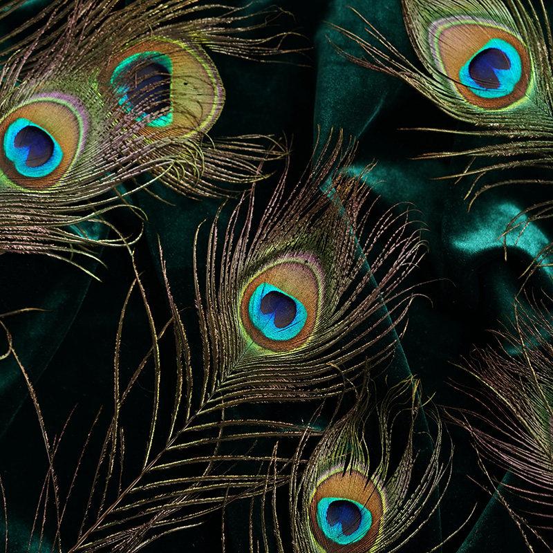 ins wind medecor photo-prop room decorations net red peacock feather pendulum photo-phase photo shoot background