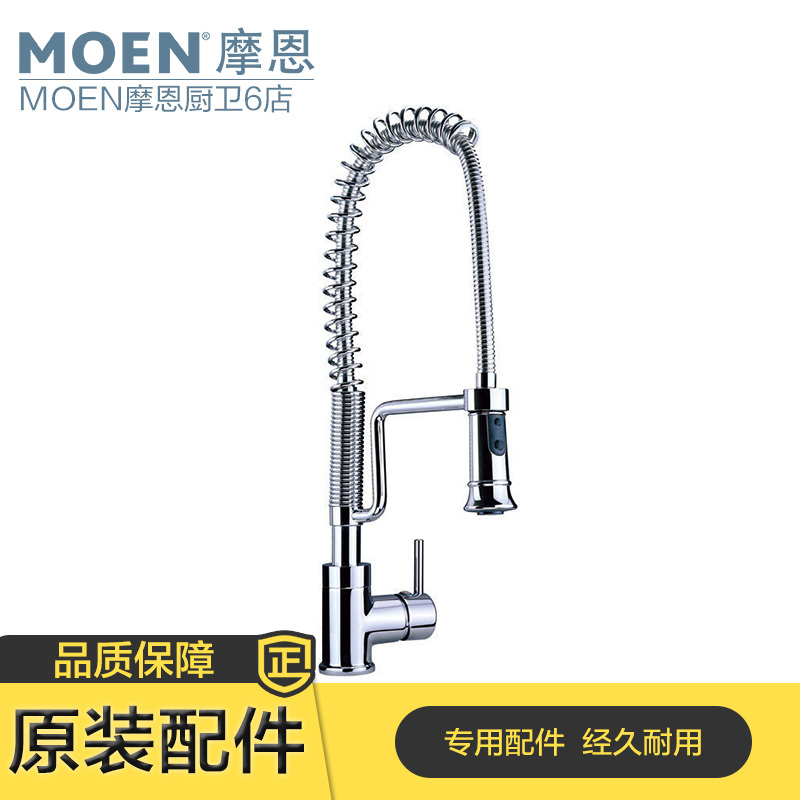 Moen Spring-Type Kitchen Pull-Out Faucet 7041 Original Shower Head Hose Valve Core Repair Parts