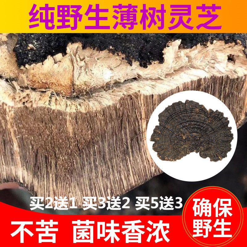 Buy 2 get 1 free Buy 3 get 2 free Buy 5 get 3 free Wild Ganoderma Lucidum Thin cover Ganoderma Lucidum Not Bitter Zhi Tablets 500g 1 catty