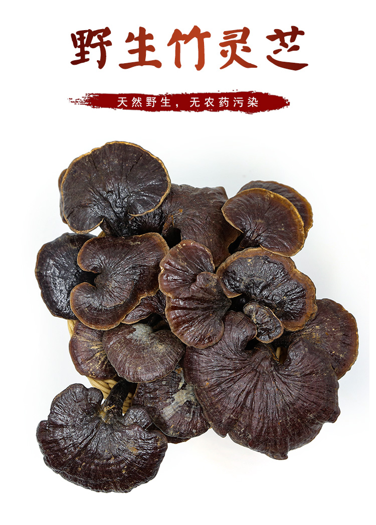 Wild Yunnan Bamboo Ganoderma lucidum Nyingchi selected big flower purple Zhi whole branch with handle Bulk 1 catty 500 grams