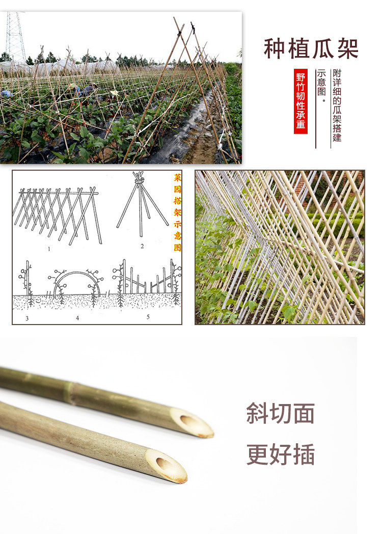 竹竿如何搭架子种菜,如何用竹竿搭架种菜,请问怎么用架子种菜啊_大山谷图库