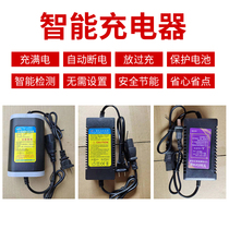 Agricultural 12V Electric Sprayer Fertiliser Charger Smart 12V8AH12HA20AH Battery Charger