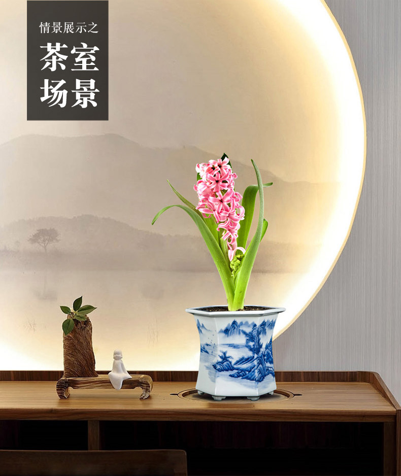 Jingdezhen blue and white porcelain hand - made six - party pot podocarpus potted orchid the plants flower huai household in the basin