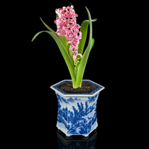 Jingdezhen hand-painted blue and white ceramic hexagonal flower pot Poohan pine bonsai orchid plant small flower pot Chinese style home