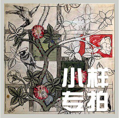 First-line design Wallpaper small sample pattern (50cm X 50cm)Small sample shot without refund]