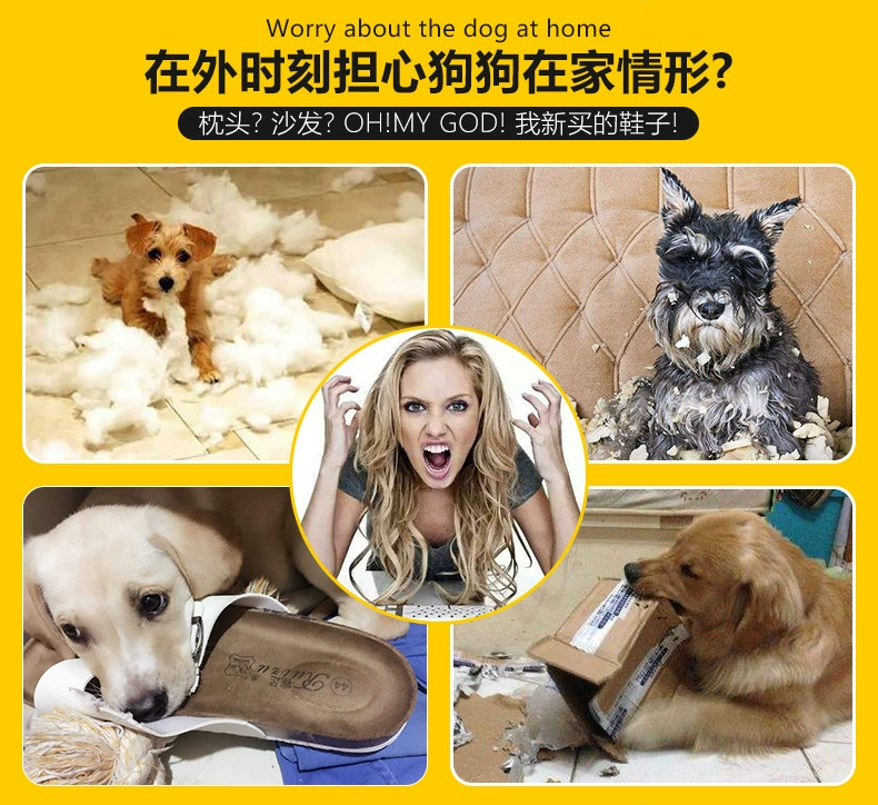 Pet đồ chơi chó đồ chơi chuông bouncy bóng con chó nhỏ cung cấp mèo thông minh phát triển chuông đầy màu sắc