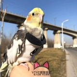 Индивидуальная маленькая и средняя птичья одежда для птиц с пт.