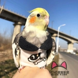 Индивидуальная маленькая и средняя птичья одежда для птиц с пт.