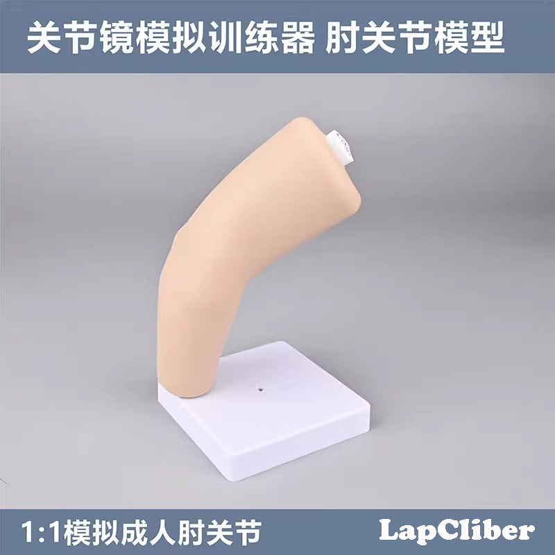 关节镜模拟训练器 肘关节仿真训练模型 30度可调焦关节镜镜感练习
