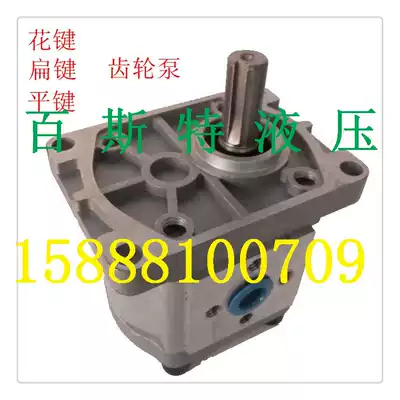 High pressure hydraulic gear pump oil pump CBN-E F304 306 308 310312 314 316 320 325