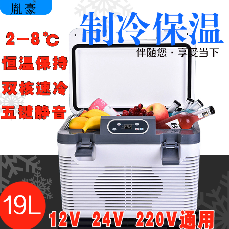 Yinhao Car Refrigerator Car Dual-use Refrigerator Insulin Thermostat Mini House Residential Cooling Box