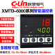 Xinling XMTD-6211/6511 temperature control instrument