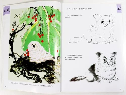 [5 инвентаризации юаней хвостовой продукт] Основа китайских живописи для рисования собак/собак, нарисованных для собак, техники животных и картин, книги по картину с полным исследованием