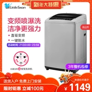 Littleswan / Little Swan TB80VN02D Máy giặt chuyển đổi tần số tự động 8 kg một máy giặt