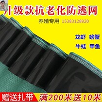Set of snake anti snake nylon net snake special Net breeding frog fence chicken net turtle plastic film net outdoor fine
