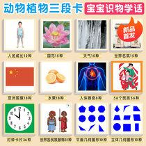 Montes early teaching tool warning signs car signs three card science language card card mammal three card card card