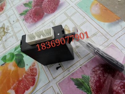 New energy Lei Junruiyi Jiangling electric central control lock full car cover lock central control lock-remote control host box