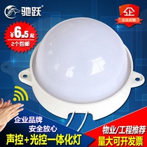 Integrated sound and light control aisle corridor building Road property Radar human sensing bulb led Hemisphere suction top sound control lamp
