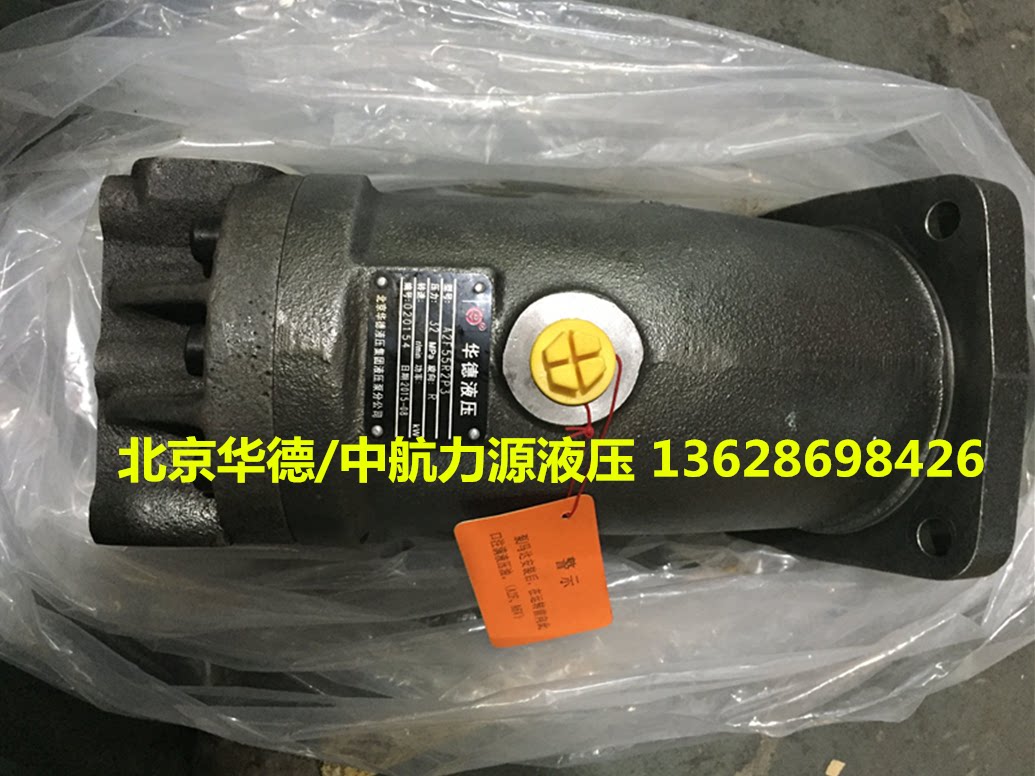 Supply Xuwei 8 tons crane rolling motor A2F 55W2z 2