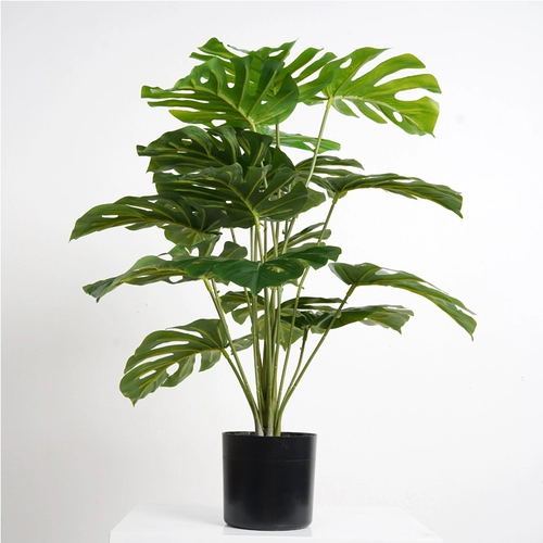 Северная симуляция черепаха заднее дерево Внутреннее фальшивое зеленое растение озеленение бионическое путешественник банановый горшок гостиная крупные растения декоративные цветы