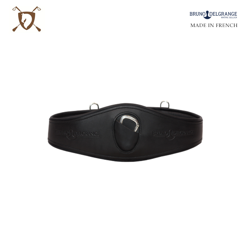 Paradin Horse - Imported BD Cattle Belt Training Horse for Horse - Catch Strap