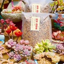  Captains succulent special controlled soil Imported from South Korea Granular soil universal succulent plant planting nutrient soil