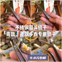  Captains Fleshy Stainless steel Tweezers Straight head Elbow Pointed Head Round head Large Tweezers Fleshy planting tool