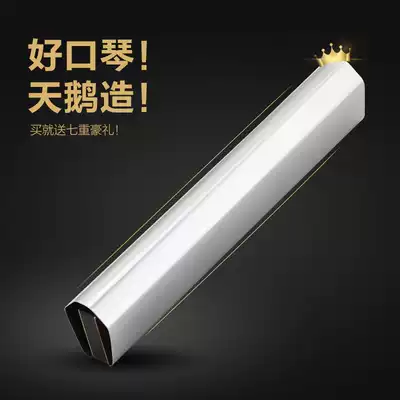 Swan 24-hole thickened echo C-tone complex harmonica Adult beginner professional advanced playing loop music instrument
