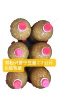 Laoguang taste Chaoshan specialty casserole porridge soybean paste Farmer Bean paste Zheng Songxing authentic Puning bean sauce