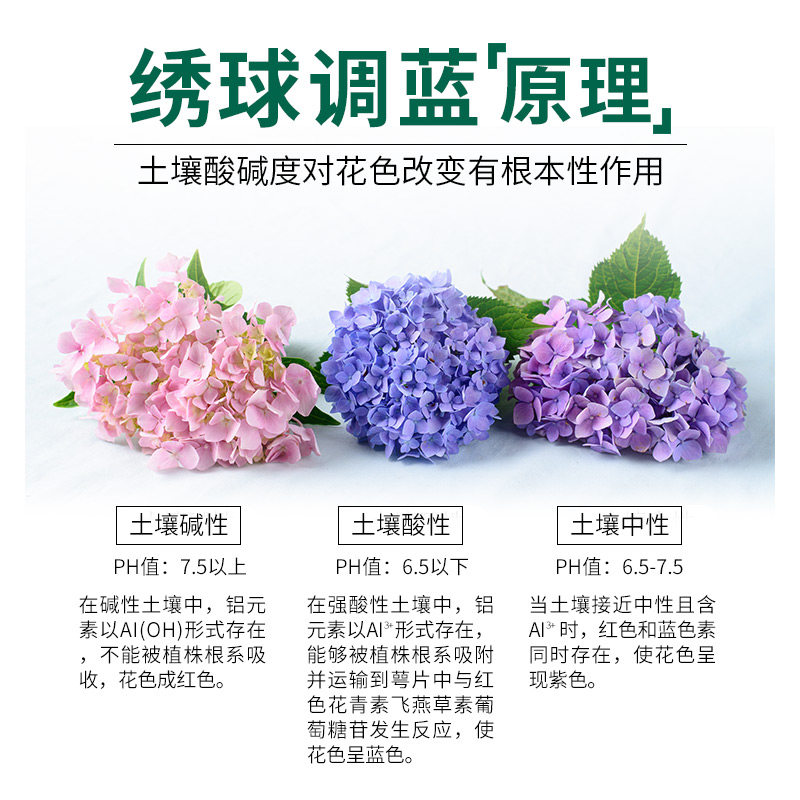 [USD 5.99] Special bluetuning agent hydrangea fertilizer fertilizer