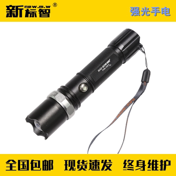 Highlight flashlight detection instrument flashlight ruibao free shipping