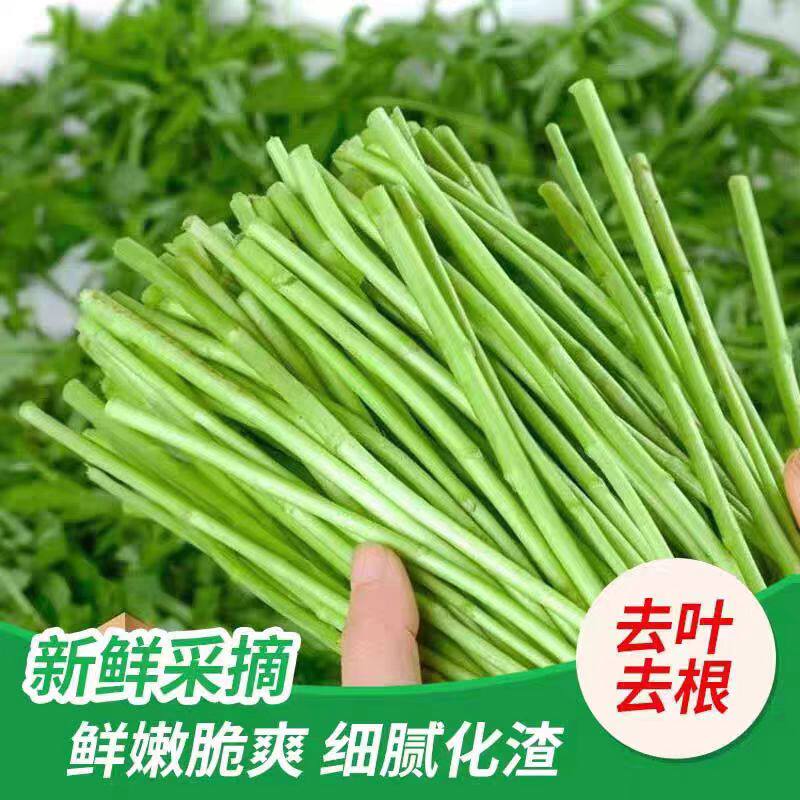 泥蒿到底是什么神奇的蔬菜?🌿营养满满的秘密武器!-生活-淘宝百科网