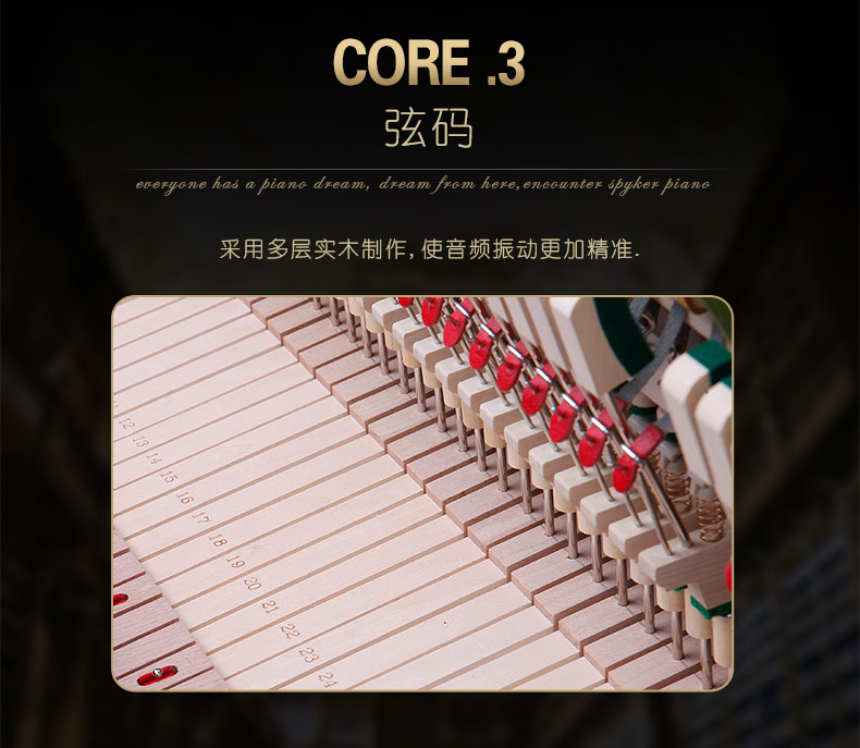 Cấu hình SPYKER British Spyker Grand Piano Concert chơi piano HD-W276G casio cdp s350