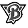 BONZOY STUDIO