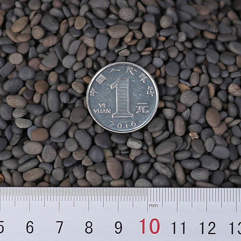 1 catty of small stones, colorful stones, colored stones, succulents, flowers, potted paving stones, fish tanks, decorative landscaping stones