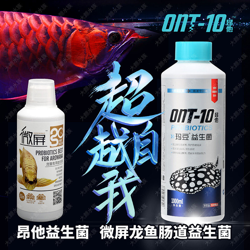 Madou Onta Probiotic Anti-Enteritis Increase Appetite Boost Immunity Promotes Breeding Dragon Natural Fermented Stingray Yogurt