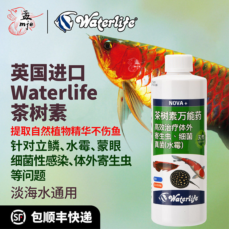 British Waterliflife Tea Tree Vegetarian Scales of Bacterial Infection Quarantine for Outer Mycobacterial Infection