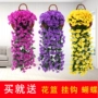 Mô phỏng Violet Lan Vine Wall Treo Hoa Lan nhựa Hoa Hoa Vine Trang trí phòng khách Hoa Sakura Hoa Mây Mây Treo Tường - Hoa nhân tạo / Cây / Trái cây bình hoa giả đẹp để phòng khách