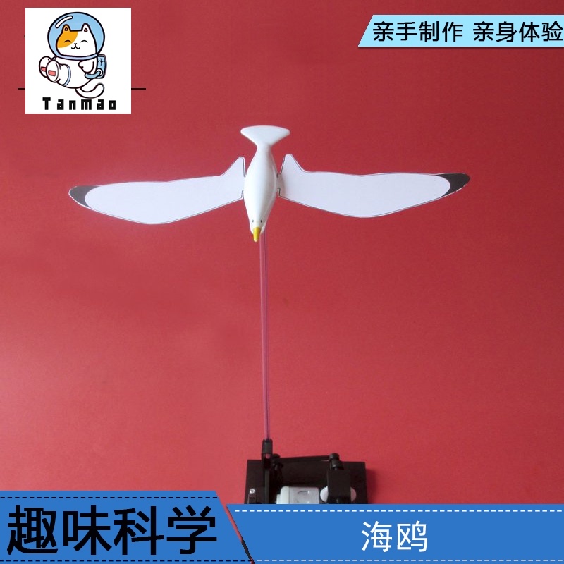 Children's primary school America Europe and the United States Science experiment toys diy technology small production equipment Homemade gear Seagull
