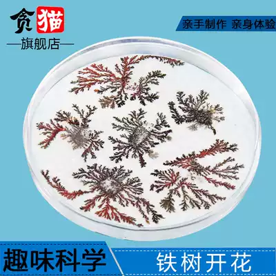 Children's science experiment toy assembly technology small production materials and equipment Puzzle creative self-made iron tree blooms