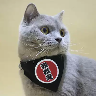 Pet saliva towel Pet Teddy scarf Bib Cat triangle towel Bib Square towel Cat jewelry Cat supplies
