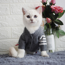 Pet sweater autumn and winter teddy clothes Cat clothes kitten clothes Kitten cat sweater puppy clothes winter