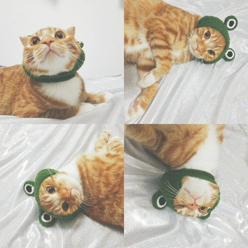 Hand-made pet hat frog headgear turned funny hand-woven knitted hat cat dog jewelry