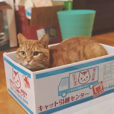 Cat carton Cat scratching board nest Corrugated paper claw grinder Claw grinding board Cat claw board Cat carton house cat litter carton