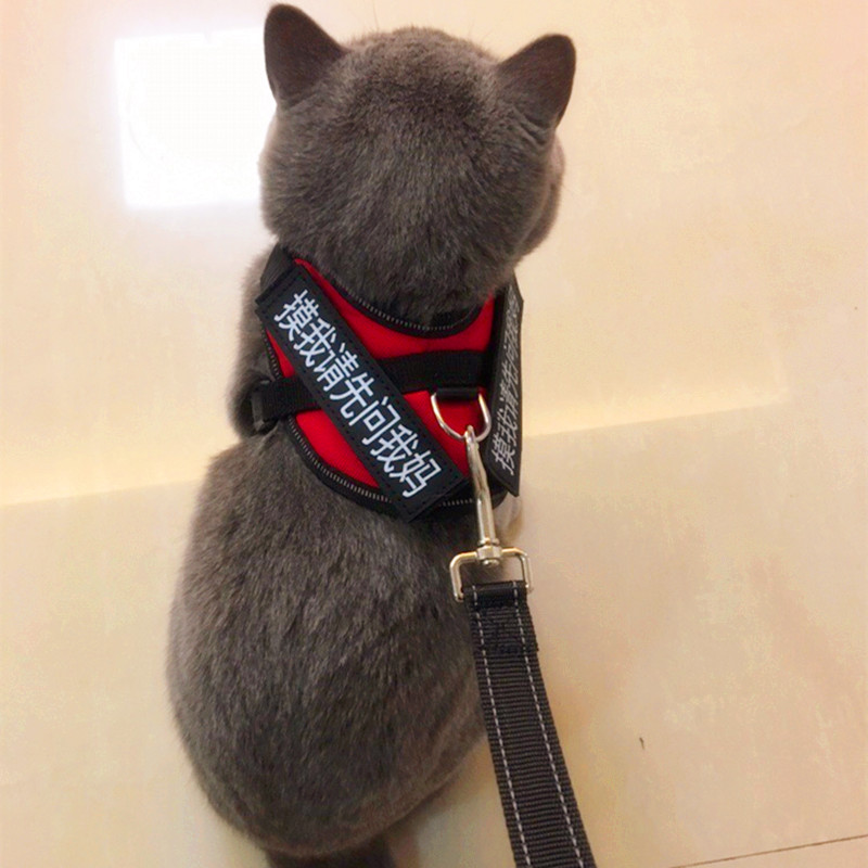 Cat Traction Rope Kitty Teddy Special Traction Rope Anti-Escape Leash Cat Rope Bolt Cat Walking Cat Vest Type Dog Mini Dog