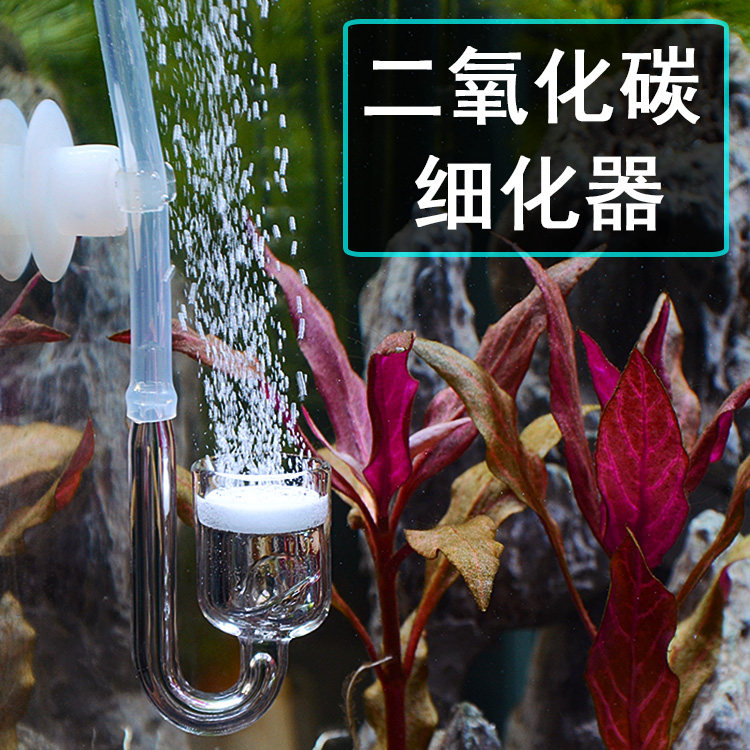 Glass carbon dioxide refiner steel bottle diy generator grass cylinder supply co2 small mouth cup four sets refiner