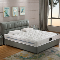 Latex mattress small sheep knitted nine-zone independent spring Simmons environmental protection coconut palm 1 51 8 meters dual-purpose mattress